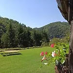 Il Bosco Di Campo Marzano *
