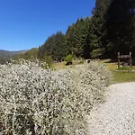 Il Bosco Di Campo Marzano Borzonasca