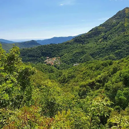 Il Bosco Di Campo Marzano בית נופש