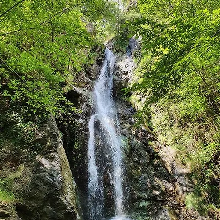 Il Bosco Di Campo Marzano *