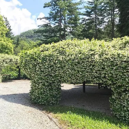 בית נופש Il Bosco Di Campo Marzano Borzonasca
