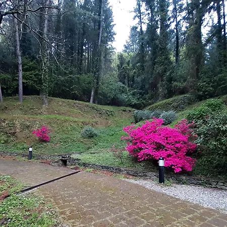 Il Bosco Di Campo Marzano Borzonasca