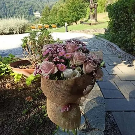 Tatil Evi Il Bosco Di Campo Marzano