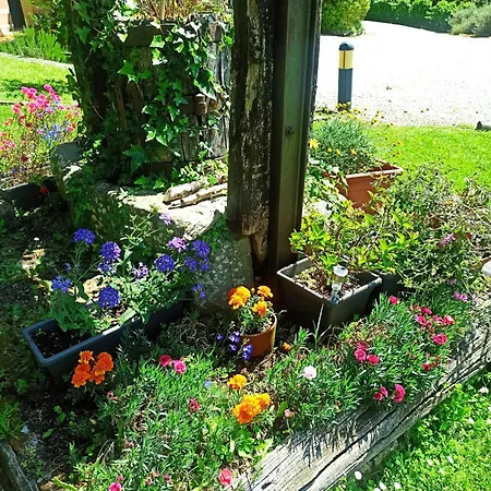 Il Bosco Di Campo Marzano בית נופש Borzonasca