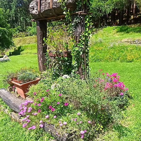 בית נופש Il Bosco Di Campo Marzano Borzonasca