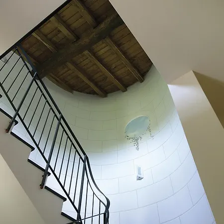 Il Bosco Di Campo Marzano *