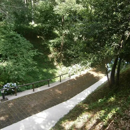 Il Bosco Di Campo Marzano בית נופש Borzonasca