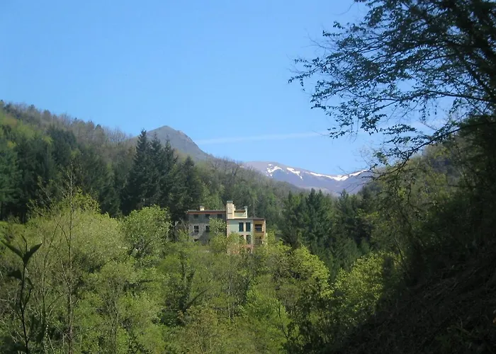 Il Bosco Di Campo Marzano * Borzonasca