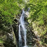 Il Bosco Di Campo Marzano *