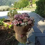 Hébergement de vacances Il Bosco Di Campo Marzano