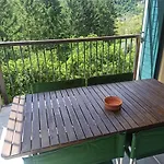 Il Bosco Di Campo Marzano