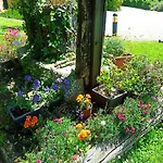 Il Bosco Di Campo Marzano Nyaraló Borzonasca