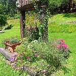 Hébergement de vacances Il Bosco Di Campo Marzano Borzonasca
