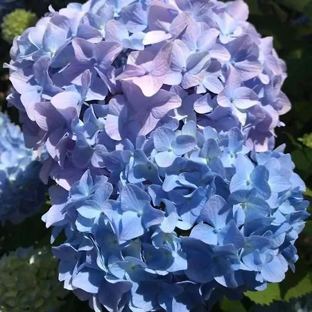 Casa de Férias Il Bosco Di Campo Marzano