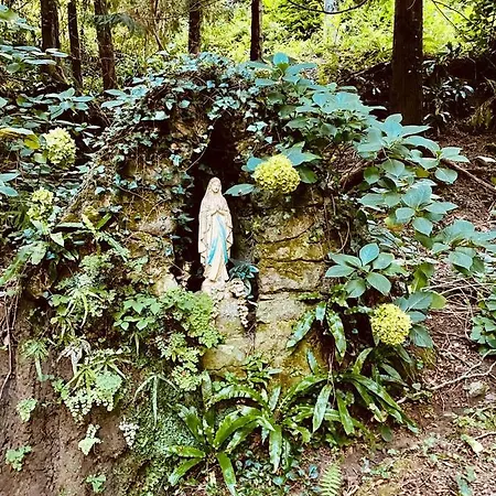 Casa vacanze Il Bosco Di Campo Marzano