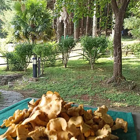 Il Bosco Di Campo Marzano