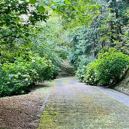 Casa de Férias Il Bosco Di Campo Marzano *