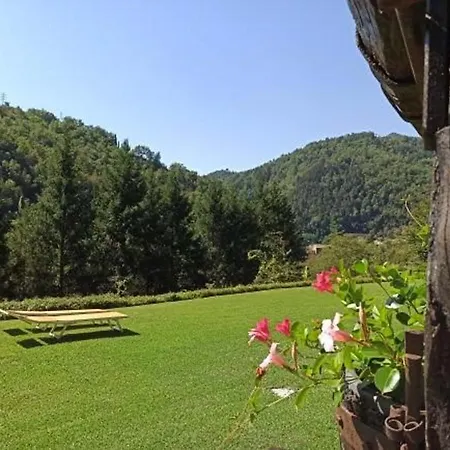Il Bosco Di Campo Marzano *