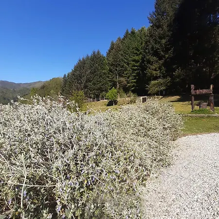 Il Bosco Di Campo Marzano Borzonasca