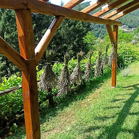 Il Bosco Di Campo Marzano Holiday home