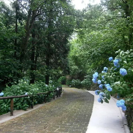 Il Bosco Di Campo Marzano * Borzonasca