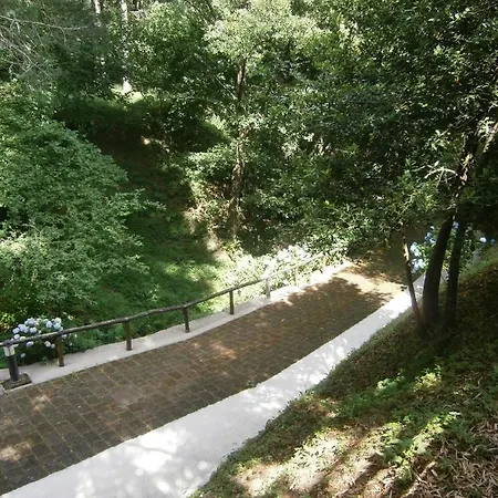Il Bosco Di Campo Marzano Holiday home Borzonasca
