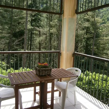 Il Bosco Di Campo Marzano Borzonasca