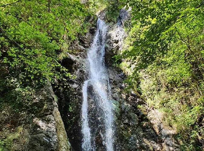 Il Bosco Di Campo Marzano *