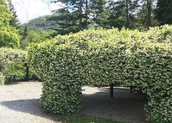Vakantiehuis Il Bosco Di Campo Marzano Borzonasca