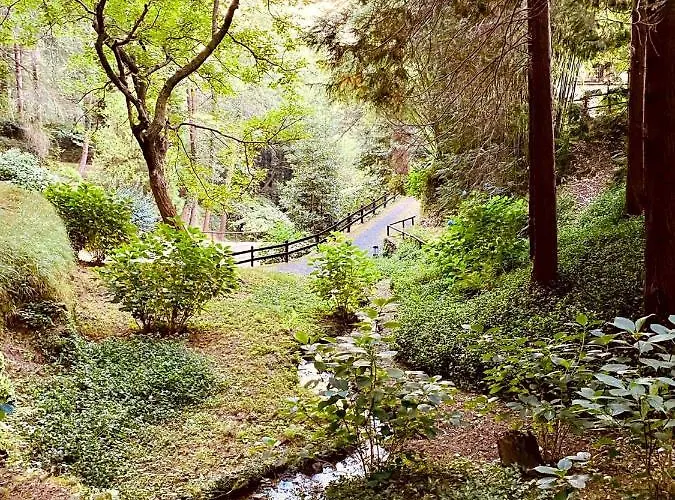 Il Bosco Di Campo Marzano * Borzonasca