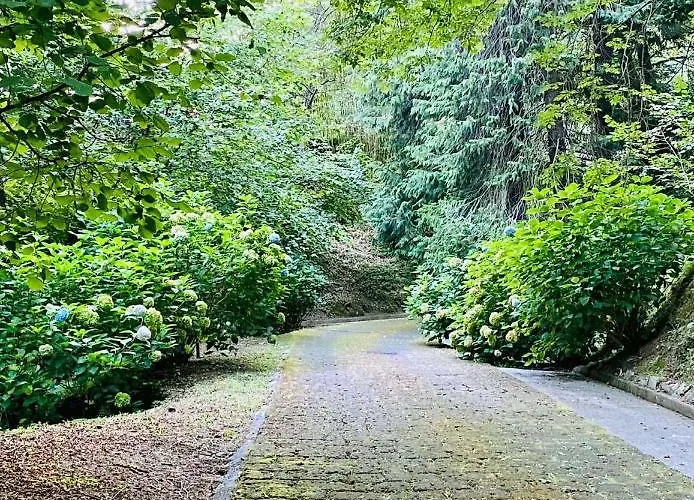 Vakantiehuis Il Bosco Di Campo Marzano *