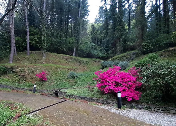 Il Bosco Di Campo Marzano Borzonasca