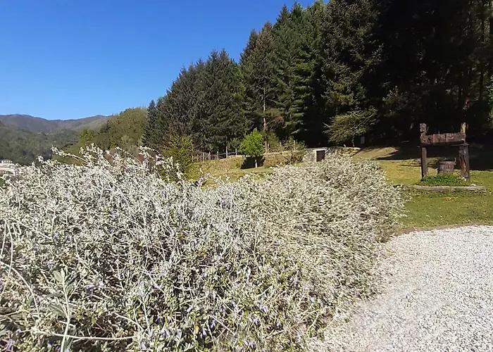 Il Bosco Di Campo Marzano Borzonasca