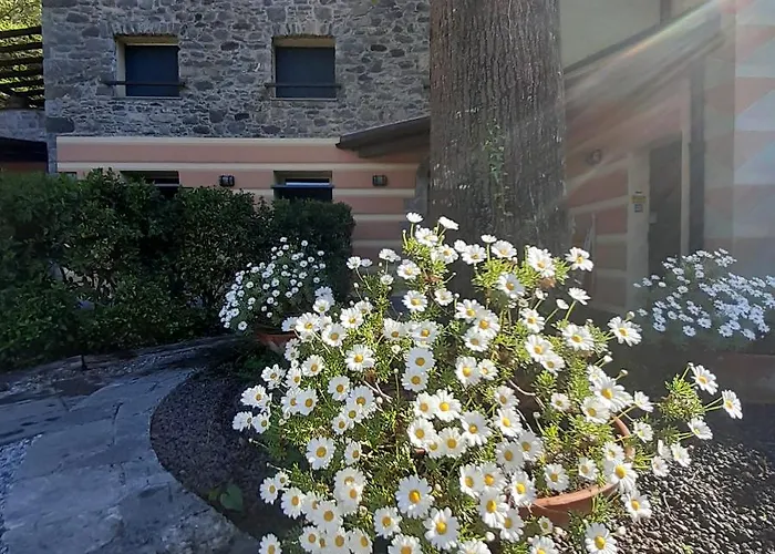 Il Bosco Di Campo Marzano Vakantiehuis