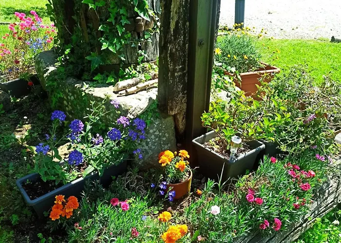 Il Bosco Di Campo Marzano Vakantiehuis Borzonasca