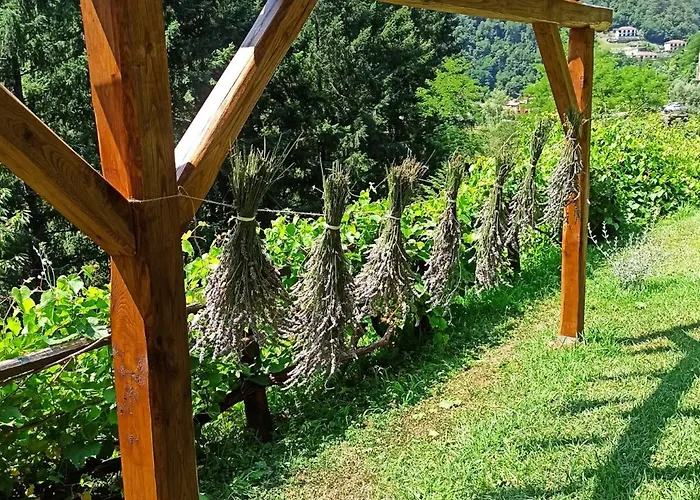 Il Bosco Di Campo Marzano Vakantiehuis