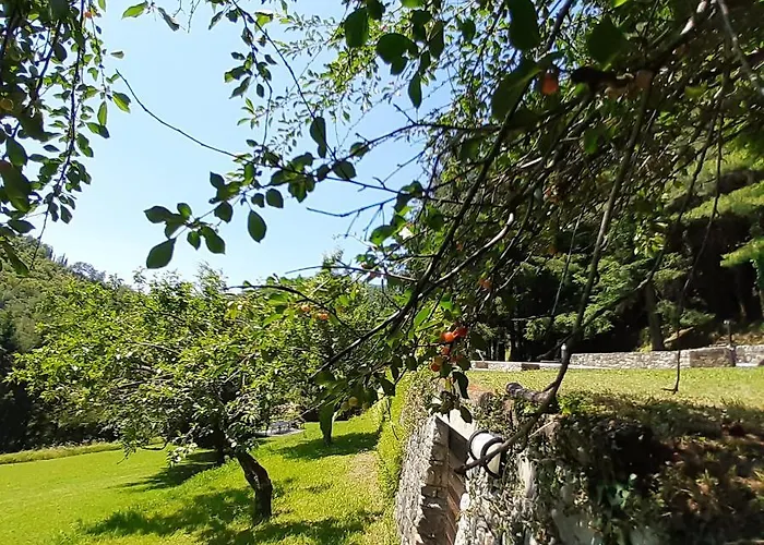 Il Bosco Di Campo Marzano * Борцонаска