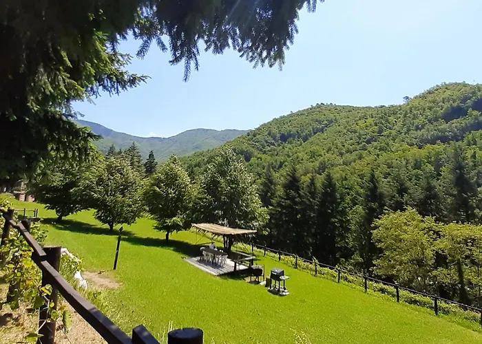 Vakantiehuis Il Bosco Di Campo Marzano *